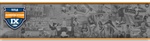 The IHSA Celebrates the 50th Anniversary of Title IX