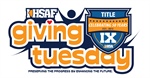 Support The IHSA Foundation On Giving Tuesday, November 30