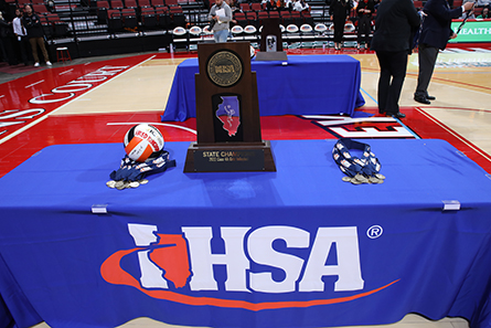 Girls Volleyball Ihsa Sports Activities