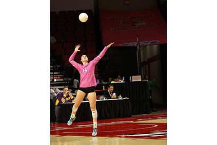 Girls Volleyball Ihsa Sports Activities